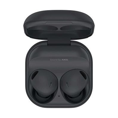 Micro Samsung Galaxy Buds 2 Pro Graphite Headphones