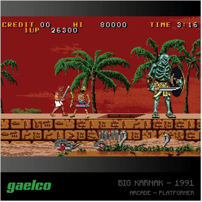 Evergreen Gaelco Arcade 2 Cartridge