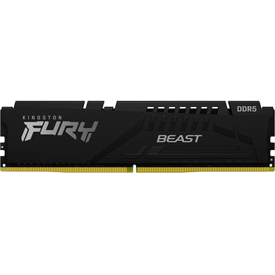 Kingston Fury Beast 16GB DDR5 5600 MHz RAM