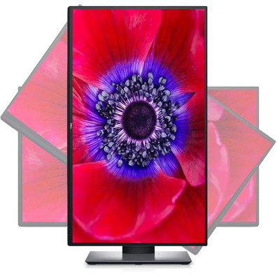 25 '' Dell Ultrasharp U2520D LED Monitor