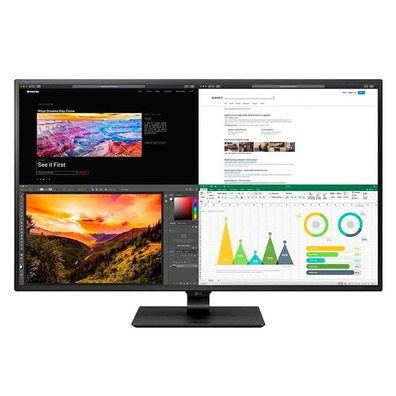 LG 43UN700-B 42.5 " Multimedia 4K LED Professional Monitor