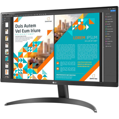 LG 24QP500-B 23.8 " QHD Black Professional Monitor