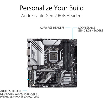 ASUS 1200 Prime Z590M-Plus Base Plate