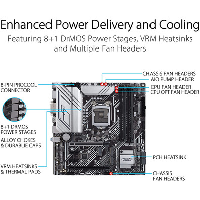 ASUS 1200 Prime Z590M-Plus Base Plate