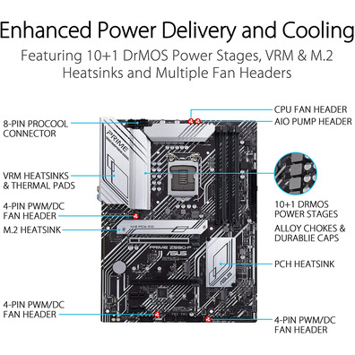 ASUS 1200 Prime Z590P Base Plate