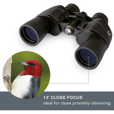 Binoculars Celestron Ultima Porro 10x42