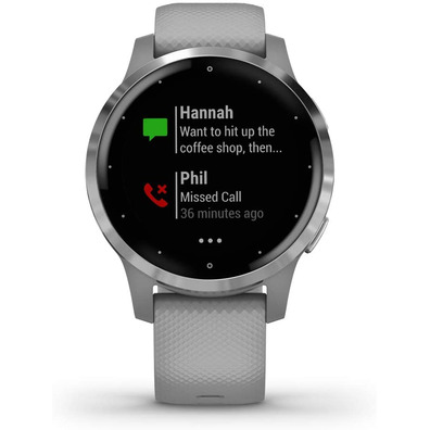 Smartwatch Garmin Sport Vivoactive 4S Silver Gray