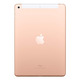 Apple iPad 10.2 2019 32 GB Gold Wifi MW6D2TY/A