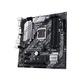 ASUS Prime Z490M Plus LGA Base Plate 1200