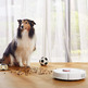 Robot Vacuum Cleaner Xiaomi Roborock S6 Pure White (Aspira and Friega)