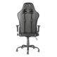 Chair Gaming Trust GTX 707 Rest Black