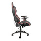 Chair Gaming Trust GXT717 Rayza RGB