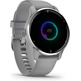 Smartwatch Garmin Venu 2 Plus GPS Silver and Gris