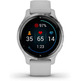 Smartwatch Garmin Venu 2S GPS Silver and Gris